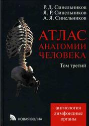 Атлас анатомии человека, Том 3, Синельников Р.Д., 2010