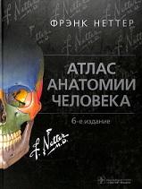 Атлас анатомии человека, Неттер Ф., Колесников Л.Л., 2018