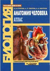 Анатомия человека, Атлас, Курепина М.М., Ожигова А.П., Никитина А.А., 2007