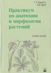 Практикум по анатомии и морфологии растений, Бавтуто Г.А., 2002