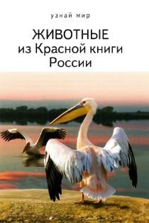 Животные из Красной книги России, Дунаева Ю.А., 2013