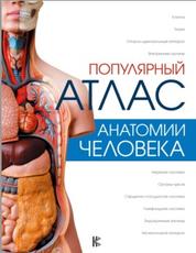 Популярный атлас анатомии человека, Палычева Л., 2018