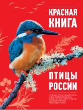 Красная книга, птицы России, Скалдина О.В., 2013