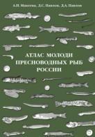 Атлас молоди пресноводных рыб России, Макеева А.Л., Павлов Д.С., Павлов Д.А., 2011