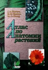 Атлас по анатомии растений, Бавтуто Г.А., Еремин В.М., Жигар М.П., 2001