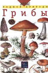 Атлас родной природы, грибы, Сергеева М.Н., Гуленкова М.А., 2002