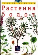 Атлас родной природы, растения болот, Гуленкова M.A., Сергеева М.Н., 2002