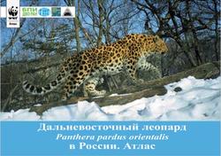 Дальневосточный леопард (Panthera pardus orientalis) в России, Атлас, Арамилев В.В., Костыря А.В., Соколов С.А., 2012