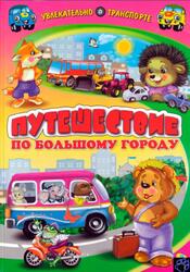 Путешествие по большому городу, Синичкин А., Конфеткина К., 2012