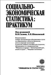 Социально-экономическая статистика, Практикум, Салин В.Н., Шпаковская Е.П., 2004
