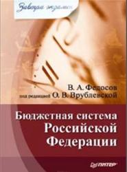 Бюджетная система РФ, Федосов В.А., 2009
