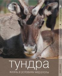 Тундра, Жизнь в условиях мерзлоты, Жирнова Е.Ю., 2009