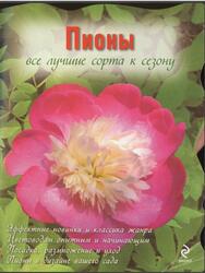 Пионы, Рубинина А.Е., 2009