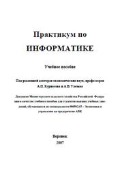 Практикум по информатике, Курносов А.П., Улезько А.В., 2007
