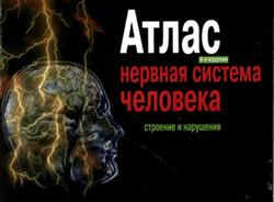 Атлас, Нервная система человека, Строение и нарушения, Астапов В.М., Микадзе Ю.В., 2004