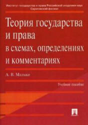 Теория государства и права в схемах, определениях и комментариях, Малько А.В., 2010