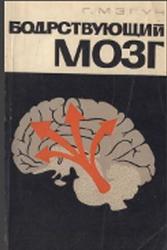 Бодрствующий мозг, Мэгун Г., 1965