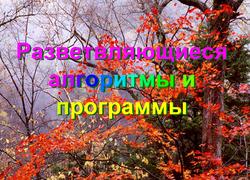 Презентация по информатике на тему Разветвляющиеся алгоритмы