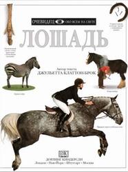 Лошадь, Очевидец, Обо всём на свете, Клаттон-Брок Д., 1997