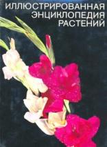 Иллюстрированная энциклопедия растений, Новак Ф.А., 1982