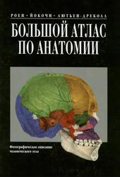 Большой атлас по анатомии, Роен Й., Йокочи Ч., Дреколл Э., 1997 